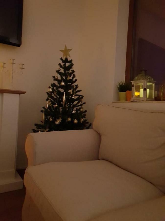 פויאנה ברשוב Fairytale Apartment Close To Bradu Ski Slope מראה חיצוני תמונה