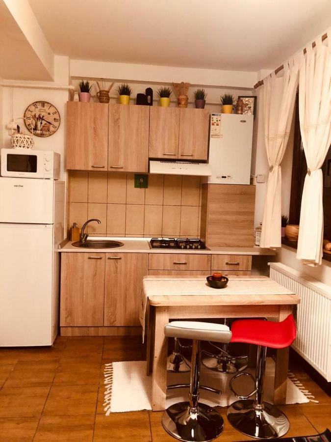 פויאנה ברשוב Fairytale Apartment Close To Bradu Ski Slope מראה חיצוני תמונה