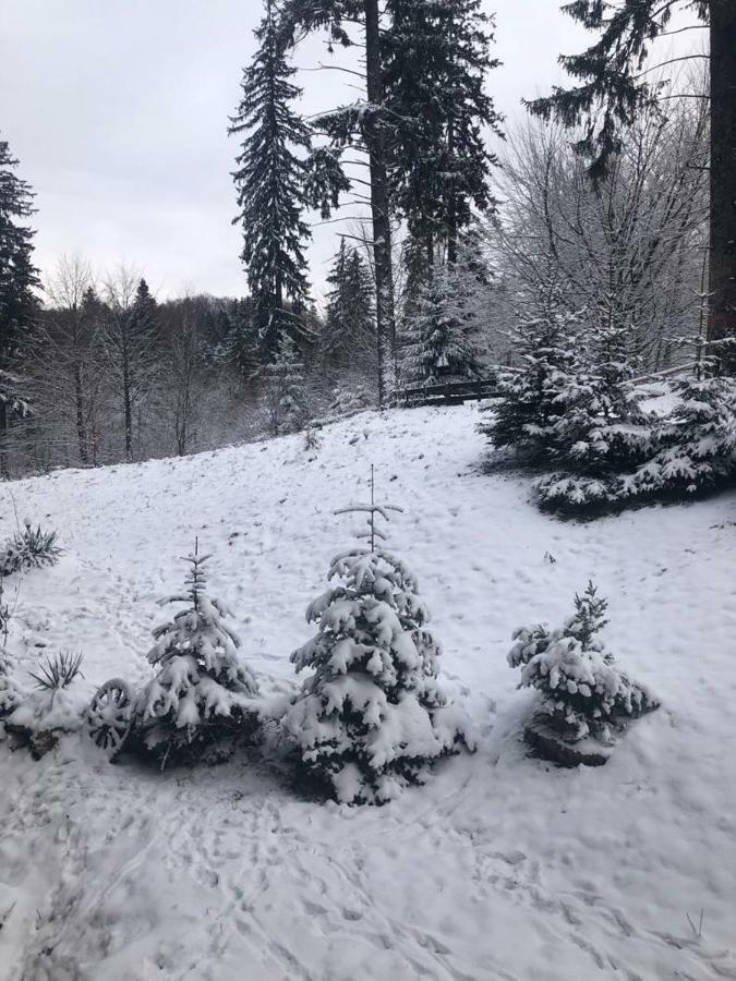 פויאנה ברשוב Fairytale Apartment Close To Bradu Ski Slope מראה חיצוני תמונה