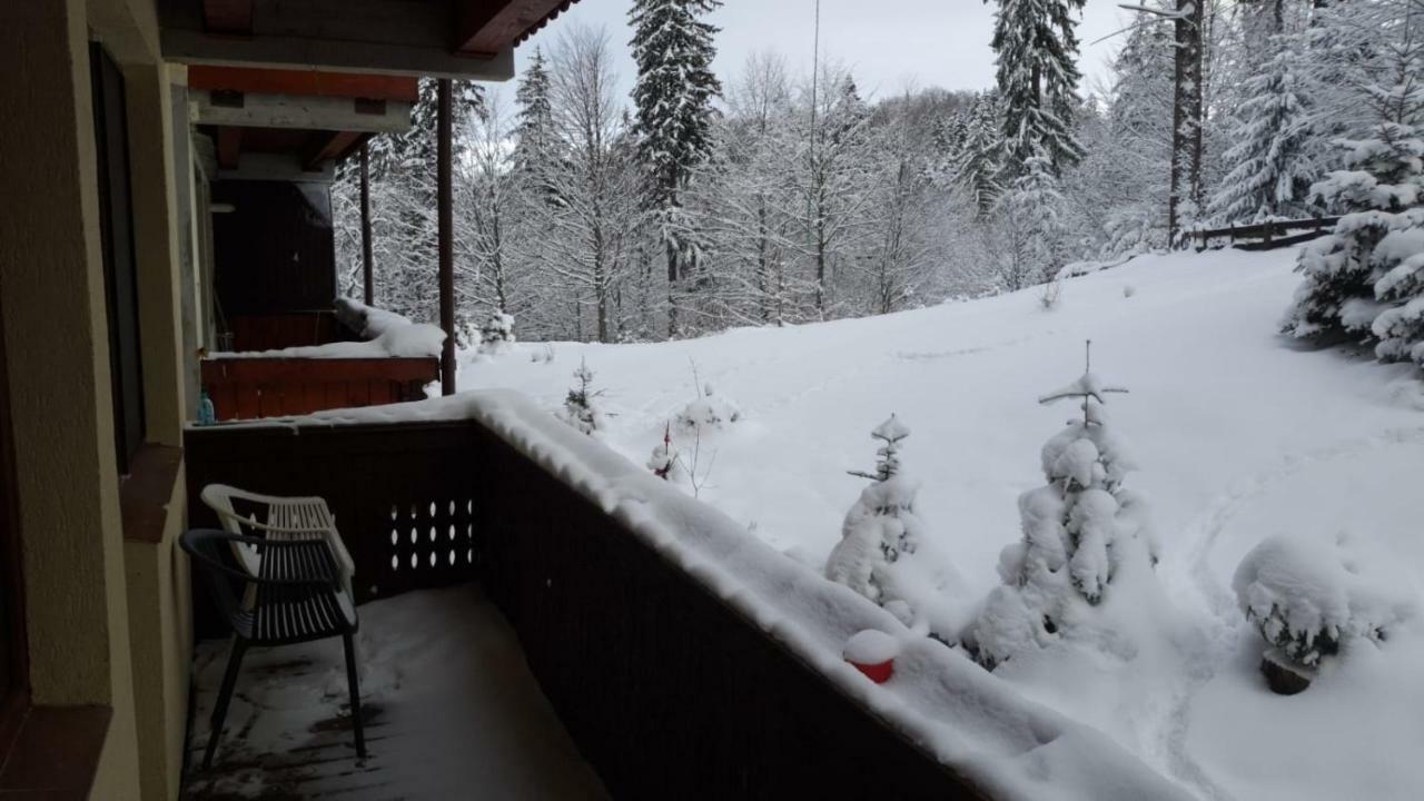 פויאנה ברשוב Fairytale Apartment Close To Bradu Ski Slope מראה חיצוני תמונה