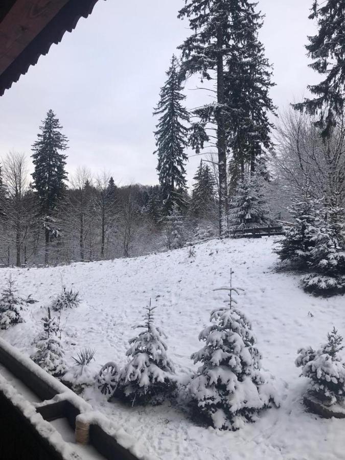 פויאנה ברשוב Fairytale Apartment Close To Bradu Ski Slope מראה חיצוני תמונה